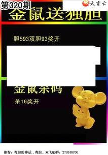 今天3d爆料最新图谜图,探寻数字背后的神秘世界